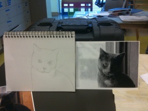 Cat sketch in progress
